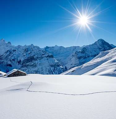 Bachalpsee Grindelwald