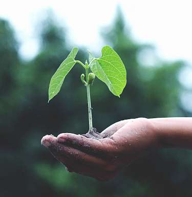 Sustainibility
